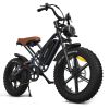 JANSNO Electric Bike 20" x 4.0 Electric Bike for Adults with 750W Brushless Motor, Long-Lasting 48V 14Ah Removable Battery, 7-Speed Transmission , 20