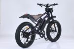 GT-C1 Chameleon New Design 750W Mountain Electric Bicycle Out Door With Fat Tire 24'' Ebike