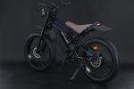 GT-C1 Chameleon New Design 750W Mountain Electric Bicycle Out Door With Fat Tire 24'' Ebike